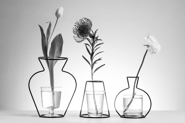 Beau design minimaliste noir et blanc
