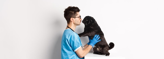 Photo gratuite beau docteur vétérinaire examinant mignon chien carlin noir à la clinique vétérinaire debout sur fond blanc