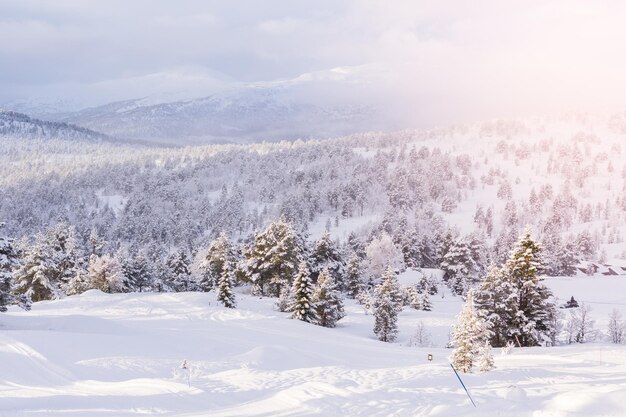 Beau domaine skiable à Volda, Norvège