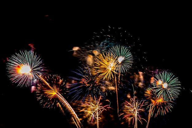 Beau feu d'artifice coloré la nuit pour célébrer