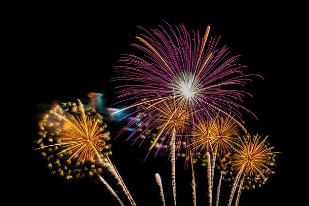 Beau feu d'artifice coloré la nuit pour célébrer