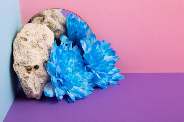 Beau fond d'écran de printemps avec des fleurs bleues