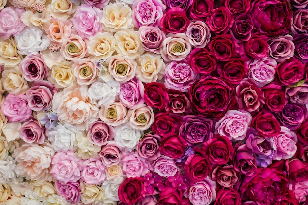 beau fond de roses pour la Saint Valentin