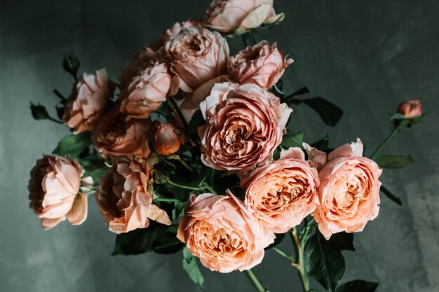 Beau gros plan sélectif tourné de roses de jardin roses dans un vase en verre