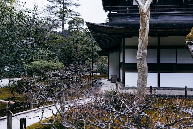 Beau jardin japonais