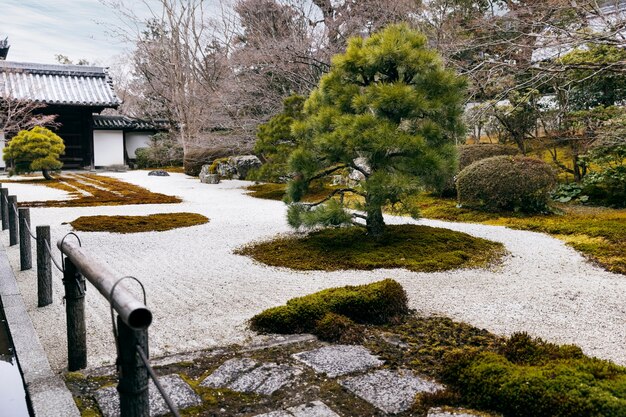 Beau jardin japonais