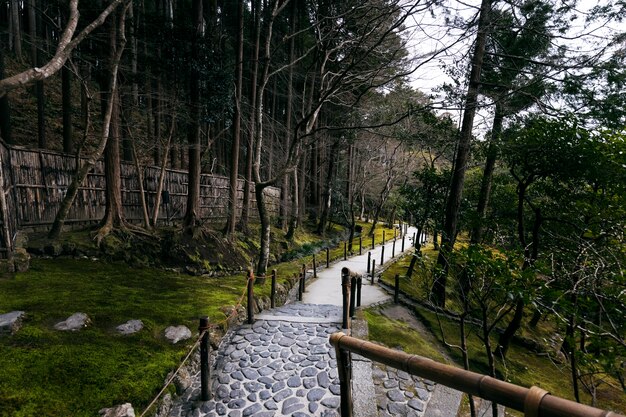 Photo gratuite beau jardin japonais