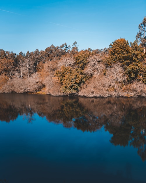 Beau lac avec le reflet d'une falaise avec beaucoup d'arbres sur la côte