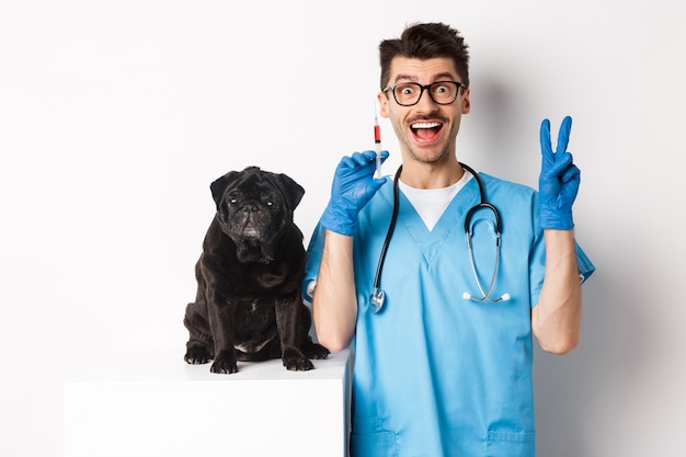 Beau médecin vétérinaire tenant une seringue et debout près d'un mignon carlin noir, vaccinant un chien, fond blanc