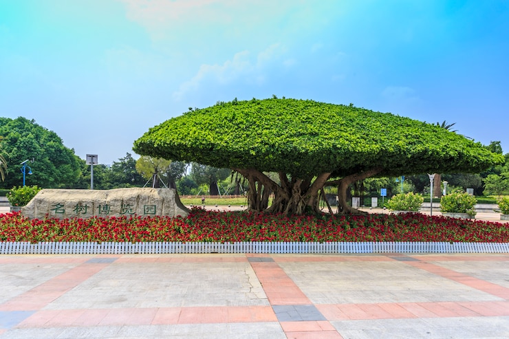 Photo gratuit beau parc