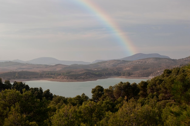 Beau paysage avec arc-en-ciel et arbres