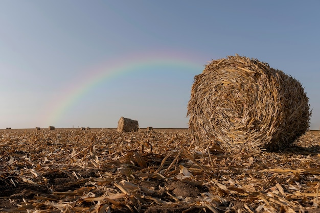 Photo gratuite beau paysage avec arc-en-ciel et foin