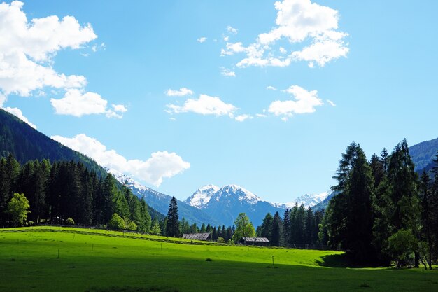 Beau paysage de campagne avec fermes, arbres et montagnes enneigées