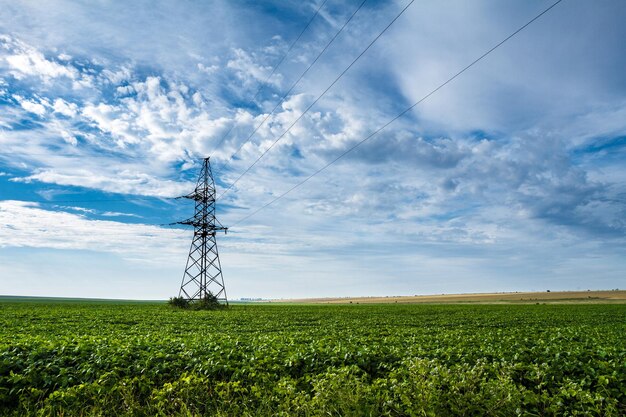 Beau paysage de champ vert et ciel nuageux