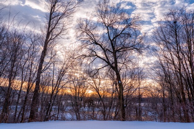 Beau paysage des collines de la campagne pendant l'hiver