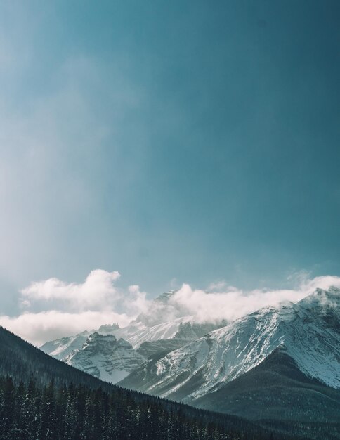 Beau paysage de collines couvertes de neige