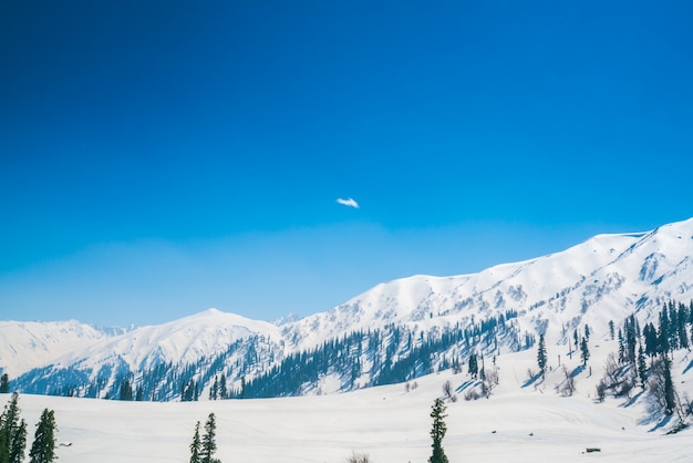 Beau paysage couvert de neige L&#39;état du Cachemire, en Inde.