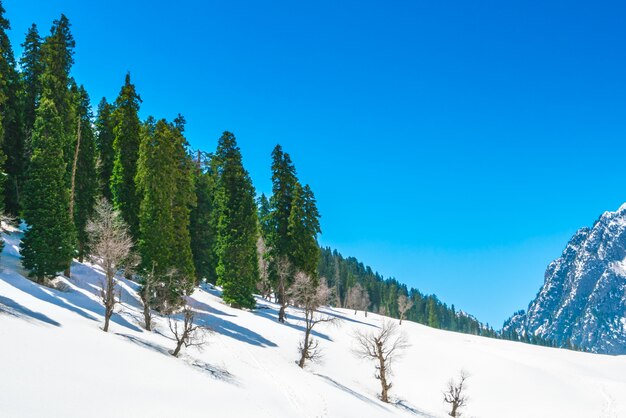 Beau paysage couvert de neige L&#39;état du Cachemire, en Inde.