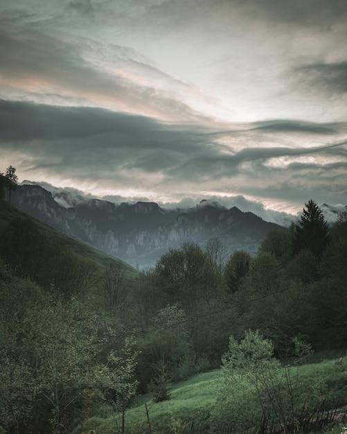 Beau paysage d'une forêt et de collines verdoyantes avec des montagnes rocheuses et des nuages incroyables