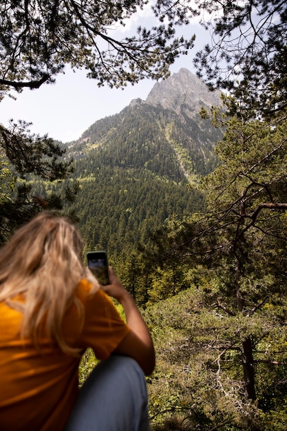 Beau paysage de forêt de montagne