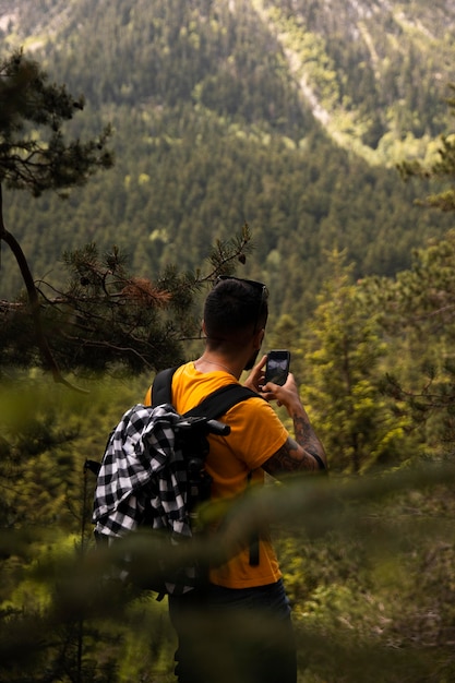 Beau paysage de forêt de montagne