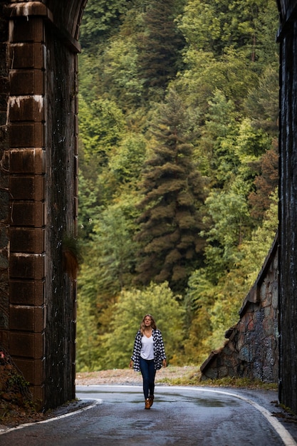 Photo gratuite beau paysage de forêt de montagne