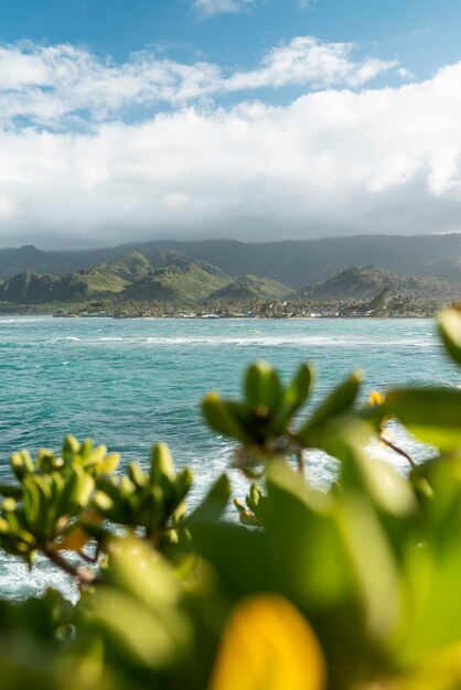 Beau paysage hawaï avec la mer bleue