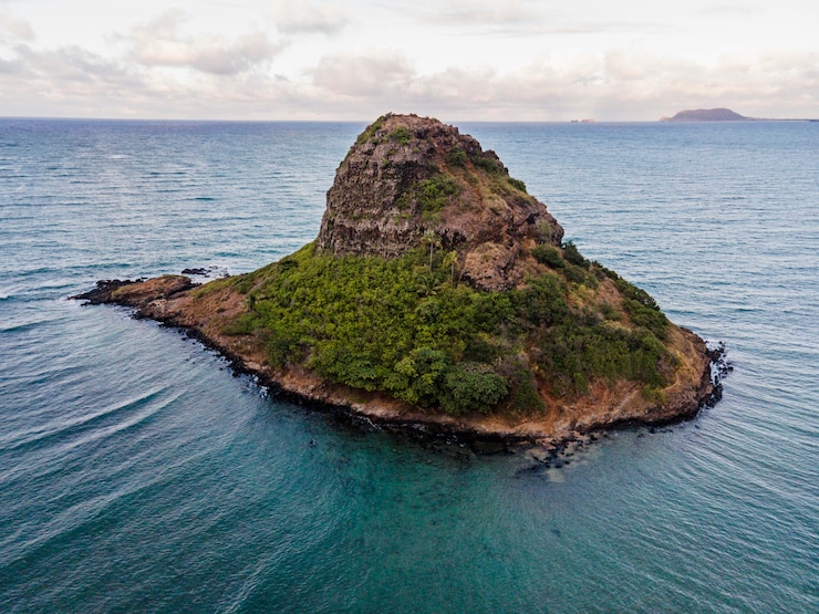 Photo gratuit beau paysage hawaïen avec l'océan