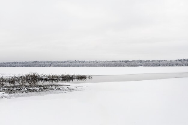 Photo gratuite beau paysage d'hiver