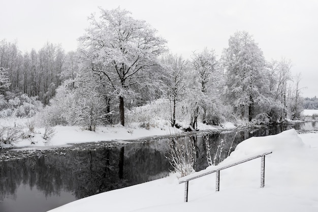 Photo gratuite beau paysage d'hiver