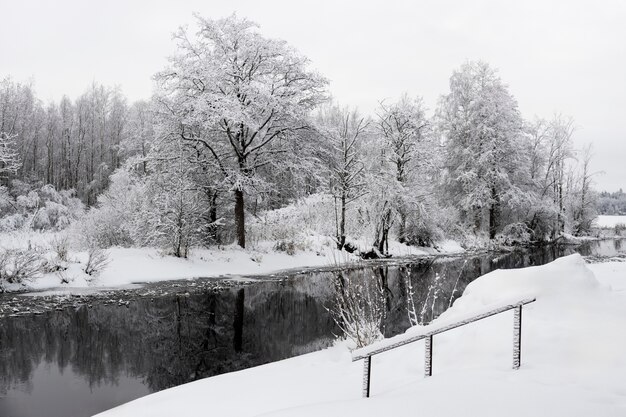 Beau paysage d'hiver