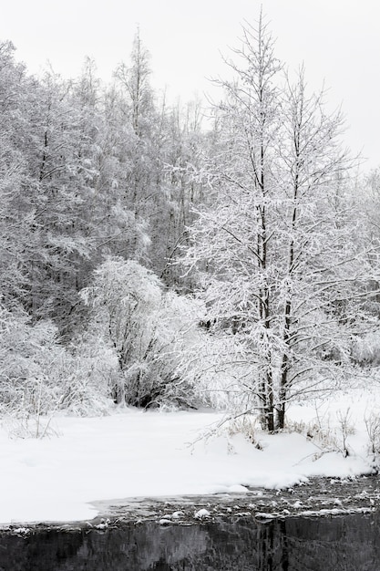 Photo gratuite beau paysage d'hiver