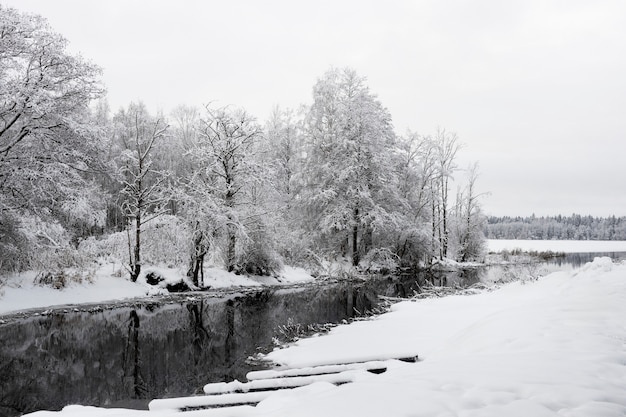 Beau paysage d'hiver