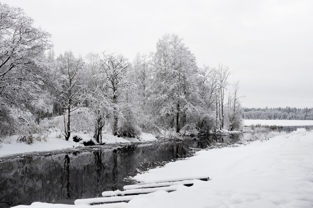 Beau paysage d'hiver