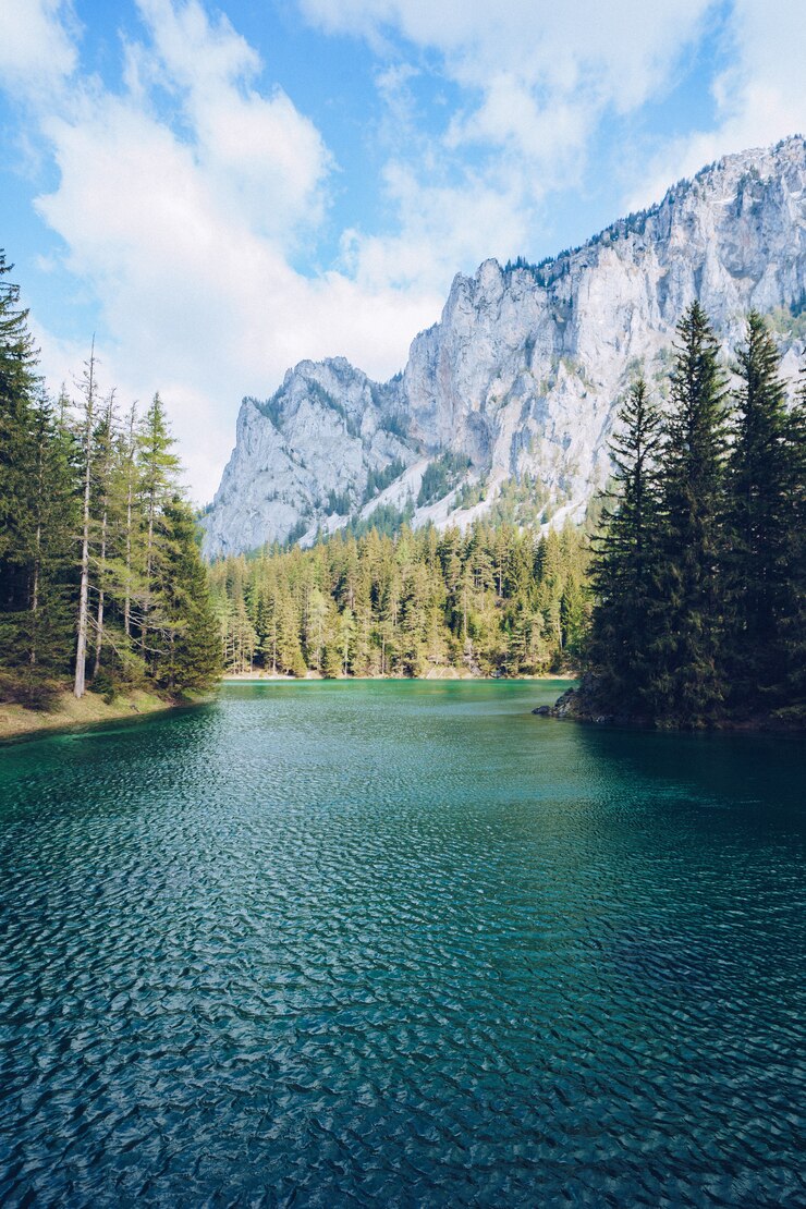 Photo gratuit beau paysage avec un lac dans une forêt et de superbes montagnes rocheuses