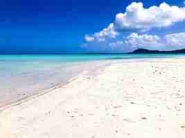 Photo gratuite beau paysage marin et plage de sable en polynésie