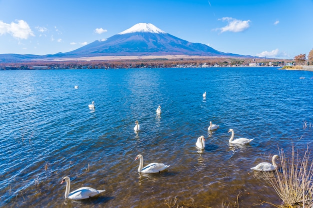 Photo gratuite beau paysage de montagne fuji autour du lac yamanakako