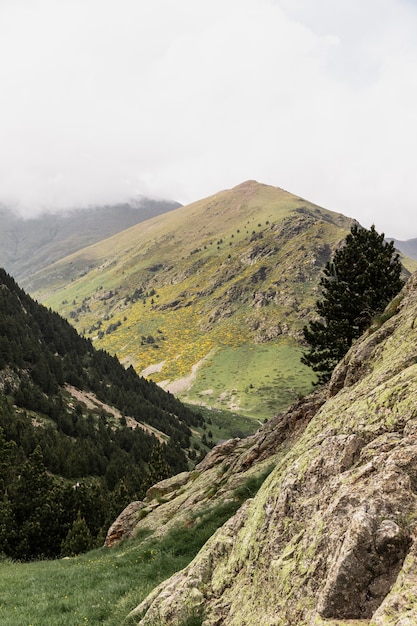 Beau paysage de montagne par une journée ensoleillée