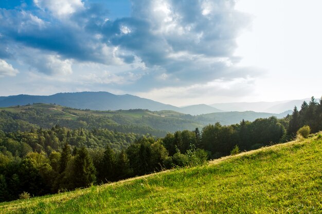 Beau paysage des montagnes des Carpates d'été