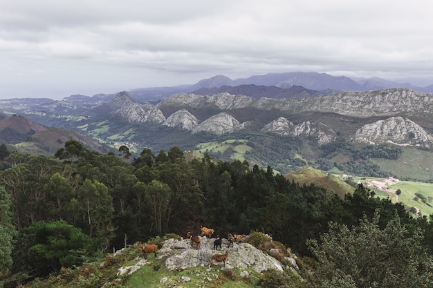 Beau paysage avec des montagnes pendant la journée