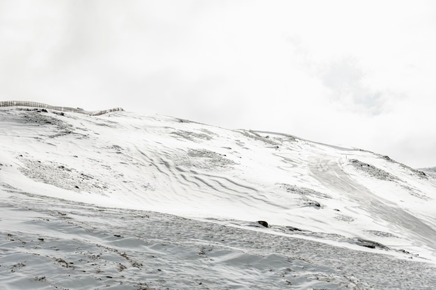 Beau paysage avec des montagnes