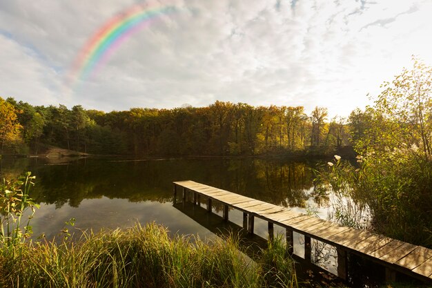 Beau paysage naturel avec arc-en-ciel