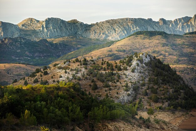 Beau paysage naturel de montagne