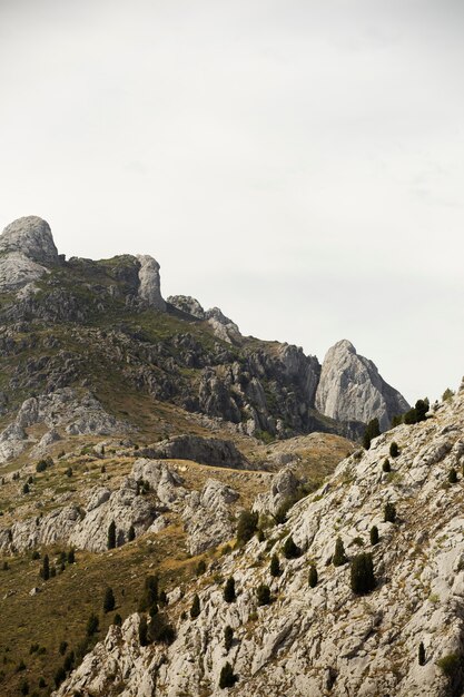 Beau paysage naturel de montagne