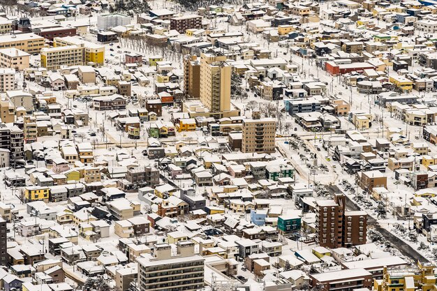 Beau paysage et paysage urbain de montagne Hakodate pour regarder autour des toits de la ville