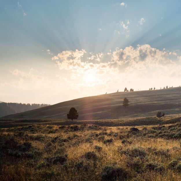 Beau paysage d'un paysage à Yellowstone avec des montagnes et le lever du soleil