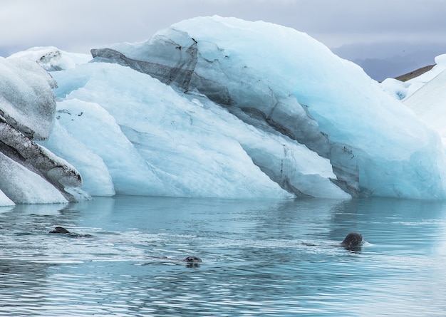 Beau paysage de petits icebergs bleus dans le lac de glace de Jokulsarlon et ciel très gris en Islande