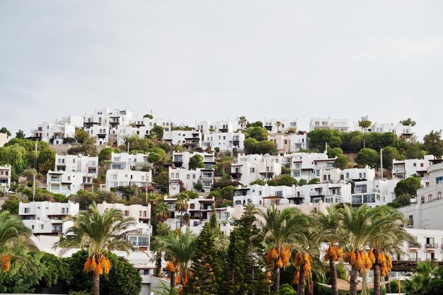 Beau paysage pittoresque avec de petits bâtiments sur la montagne avec des palmiers station balnéaire de paysages exotiques célèbre destination populaire de Bodrum Turquie