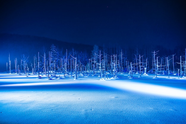 Beau paysage en plein air avec la rivière de l&#39;étang bleu dans la nuit avec la lumière dans la saison d&#39;hiver de neige