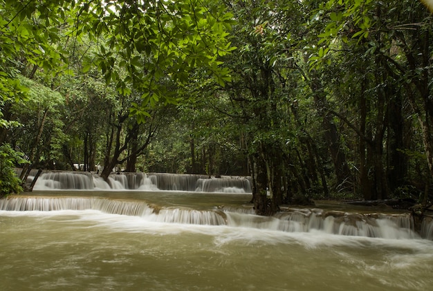 Beau paysage d'une puissante cascade qui coule dans une rivière dans une forêt